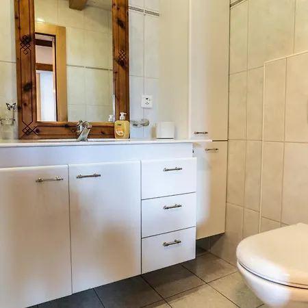 Haus Butterfly, Apartament Saas-Fee